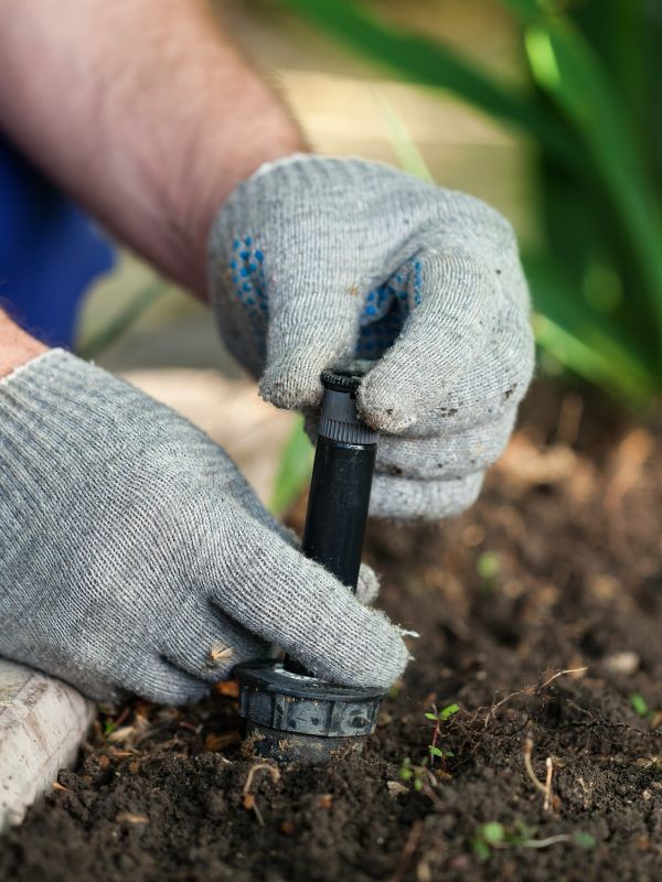 Drip irrigation emitter installation