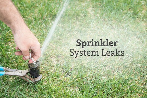 A person fixing a sprinkler beside the words "Sprinkler System Leaks"