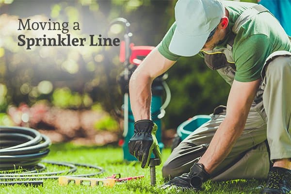 A man adjusting the placement of sprinkler lines in a yard with the words moving a sprinkler line