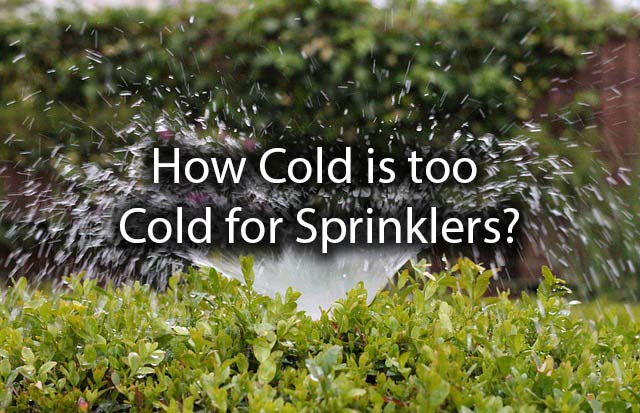 A sprinkler system with the words, how cold is too cold for sprinklers?