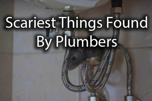A mouse with the words, "scariest things found by plumbers."