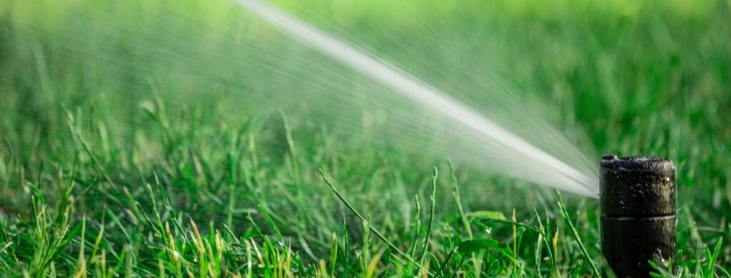 A sprinkler is watering a lush green yard. 