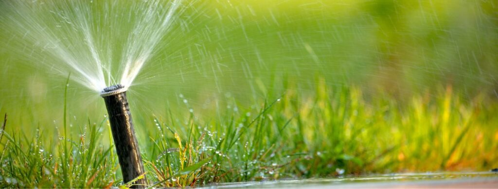 sprinkler on spraying green grass